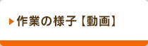 作業の様子
