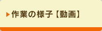 作業の様子
